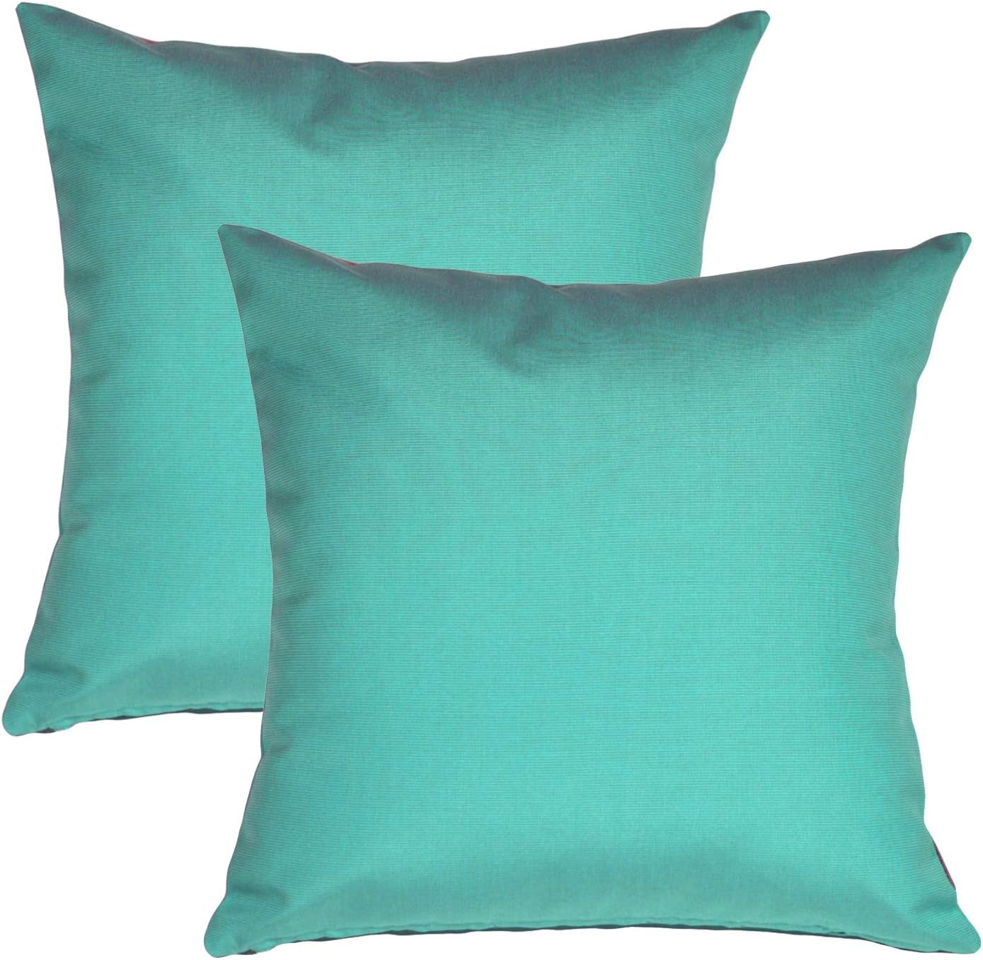 Pillow Decor Sunbrella Indoor Outdoor Throw Pillow, Melon, 20"x20" (Set of 2) - Inserts Included