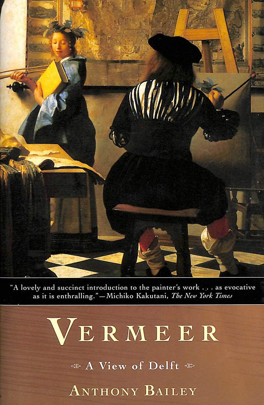 Buy Vermeer: A View of Delft (Owl/John MacRae Books) — BookShops.in