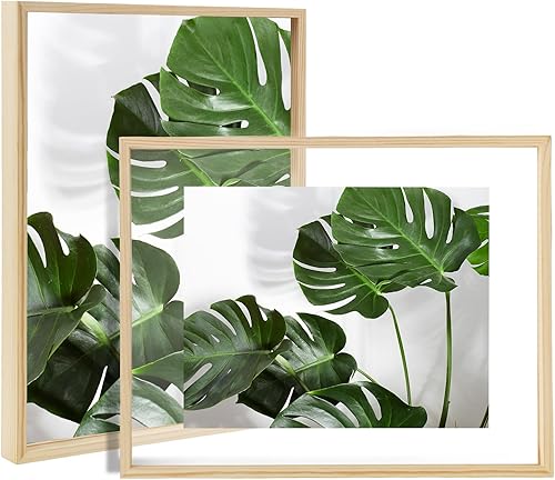 Fixwal Juego de 2 marcos flotantes de color madera original de 8 x 10 pulgadas, hecho de marco de madera maciza, diseño de doble cristal, pantalla