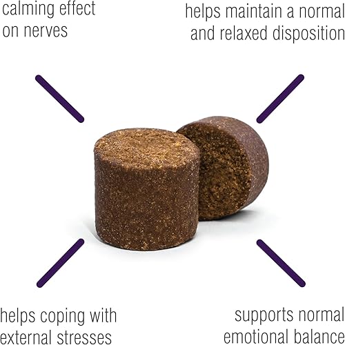 Miniatura 13 de VetIQ Suplemento calmante de apoyo para perros, masticables calmantes que ayudan a controlar el estrés y promover la relajación, alivio