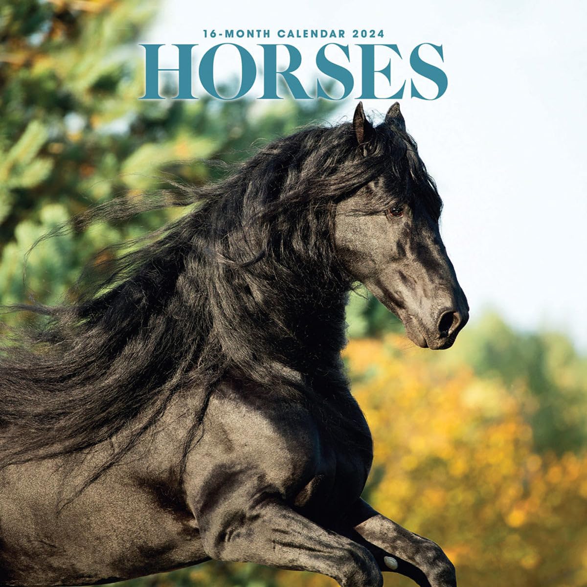 Carousel Calendars, Horses 2024 Wall Calendar