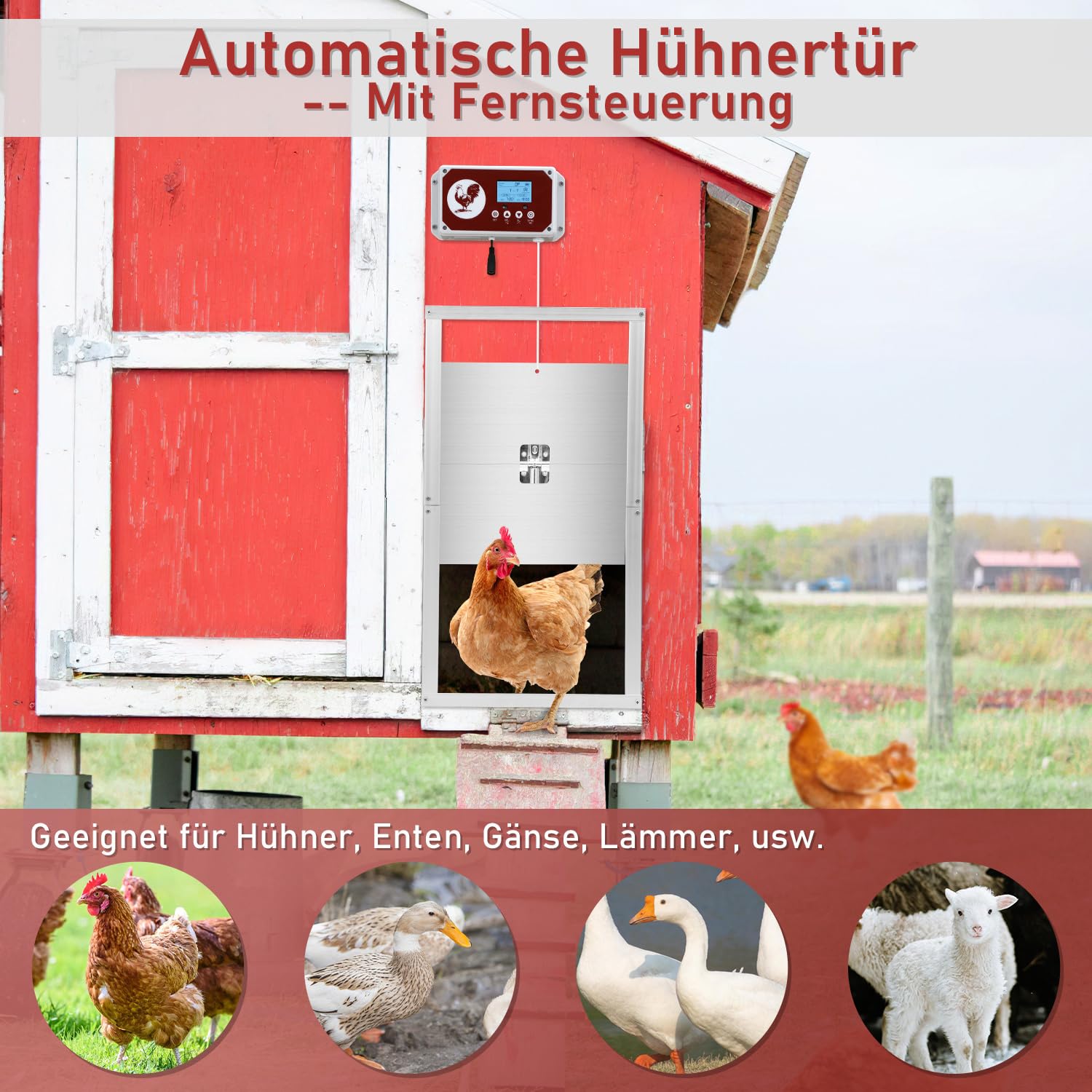 Batería automática de aluminio de 7,8 W con pantalla LCD, temporizador, sensor de luz, mando a distancia, protección contra pinzamientos, puerta automática para gallinero