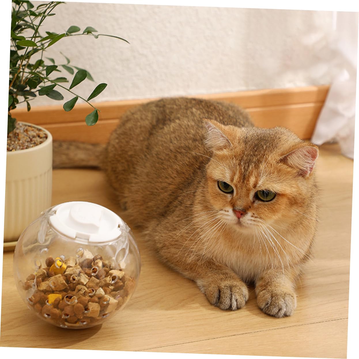 Giocattolo Dispenser di Cibo in Abs per Gatti e Cani 3 Pezzi per Giochi e Snack