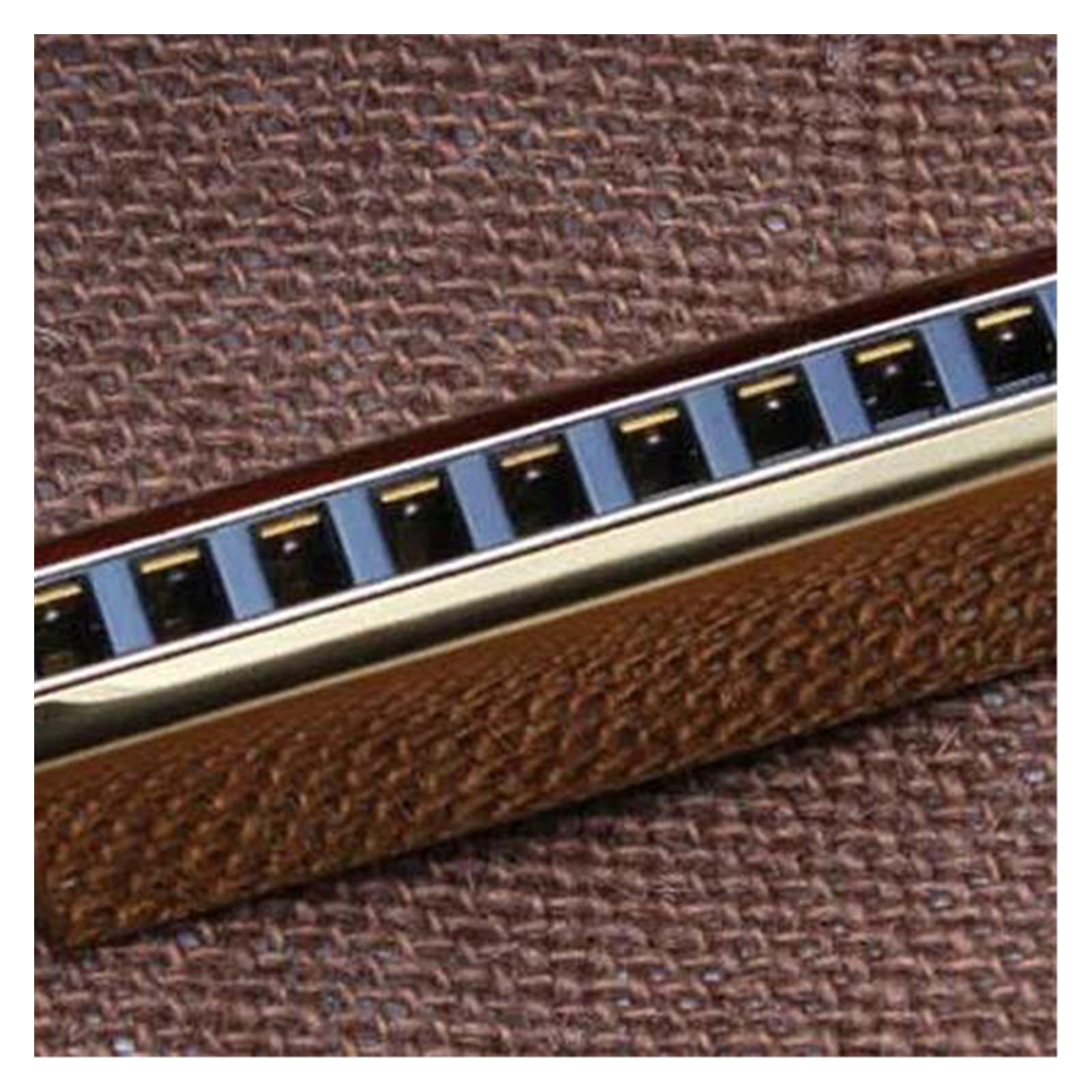 10 Harmonijka srebrna złota Harmonijka Diatonic 12 Tune BluesHarp DiatoneHarmonika(Gold)