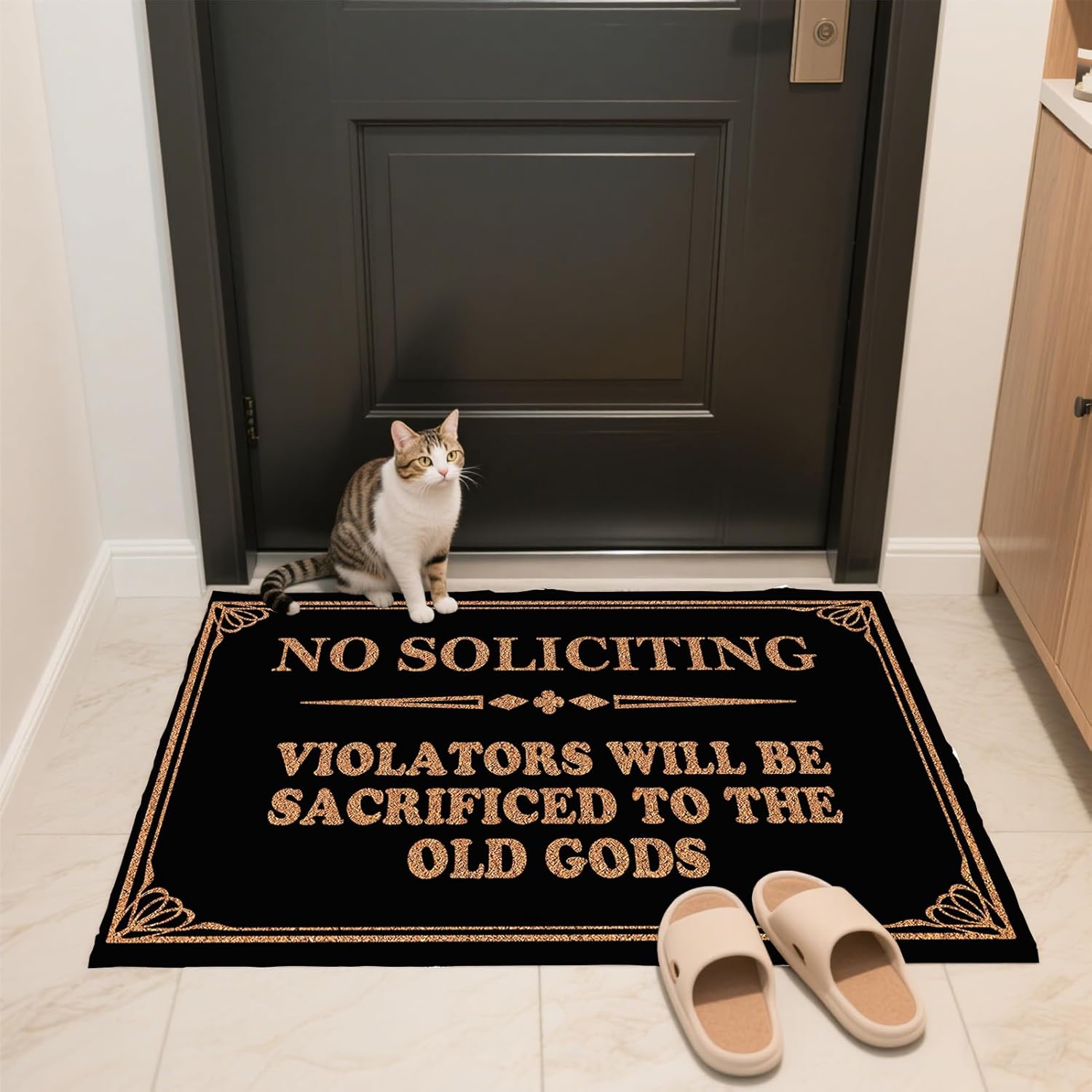 Welcome Doormat Funny Front Door No Soliciting Violators Will Be Sacrificed to The Old Gods Doormat Anti-Slip Mats Home Decor, Gift Door Mats for The Entrance Way Indoor 30"(W) X 17"(L)