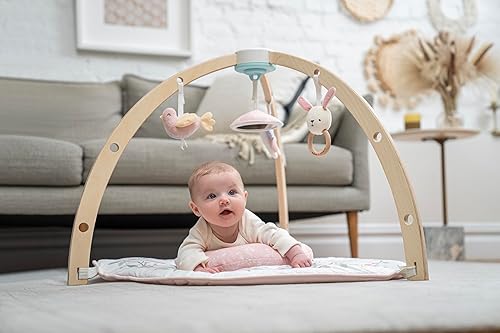 Miniatura 8 de aden + anais Play and Discover Baby Activity Gym - Más de 30 beneficios de desarrollo - 3 juguetes acoplables + almohada de felpa para el tiempo