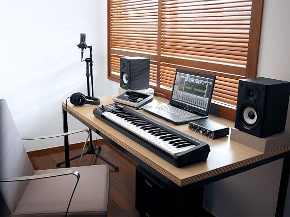 Roland Lightweight 49-Key MIDI Keyboard Controller, black (A-49-BK)