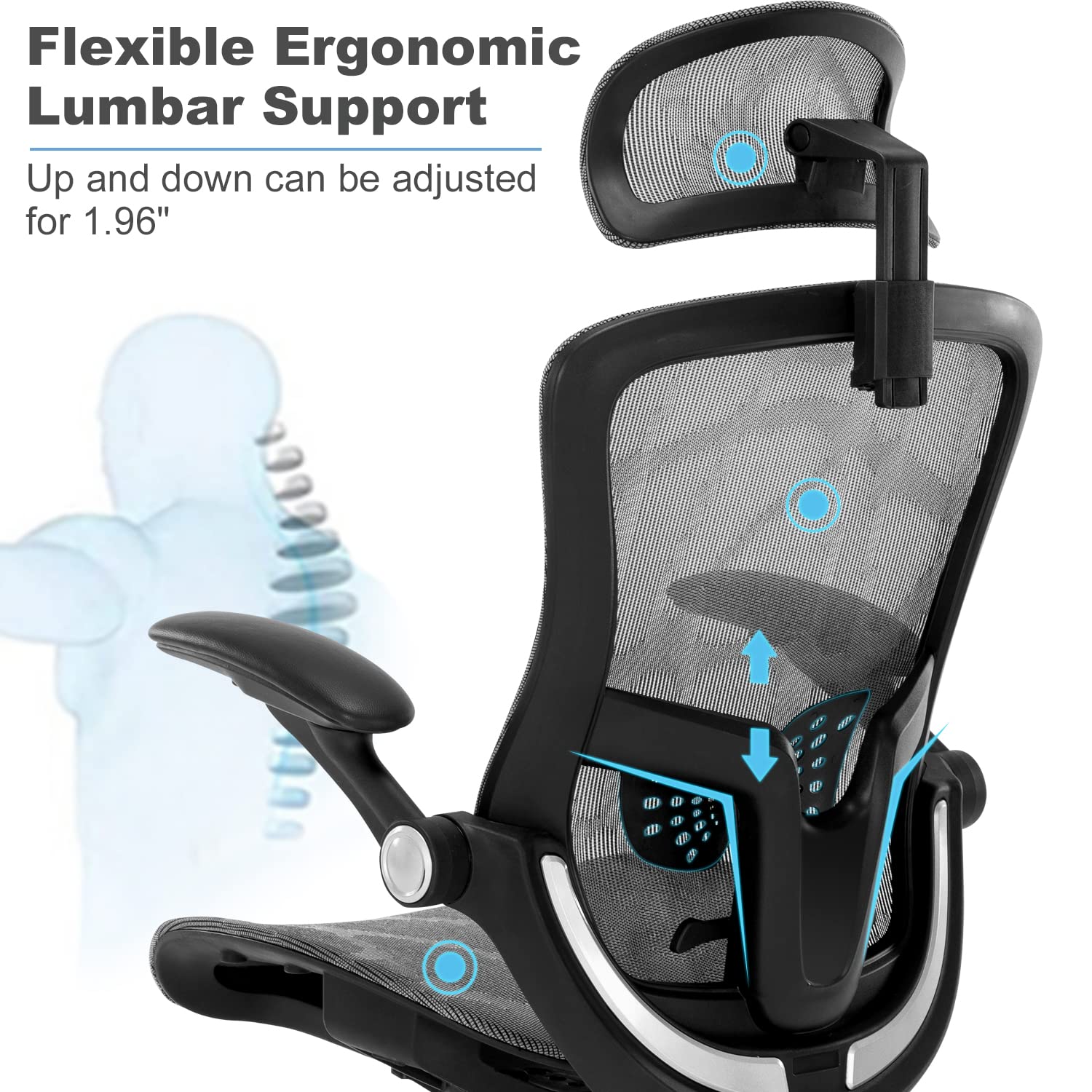 https://m.media-amazon.com/images/I/71TS4E61SlL.jpg