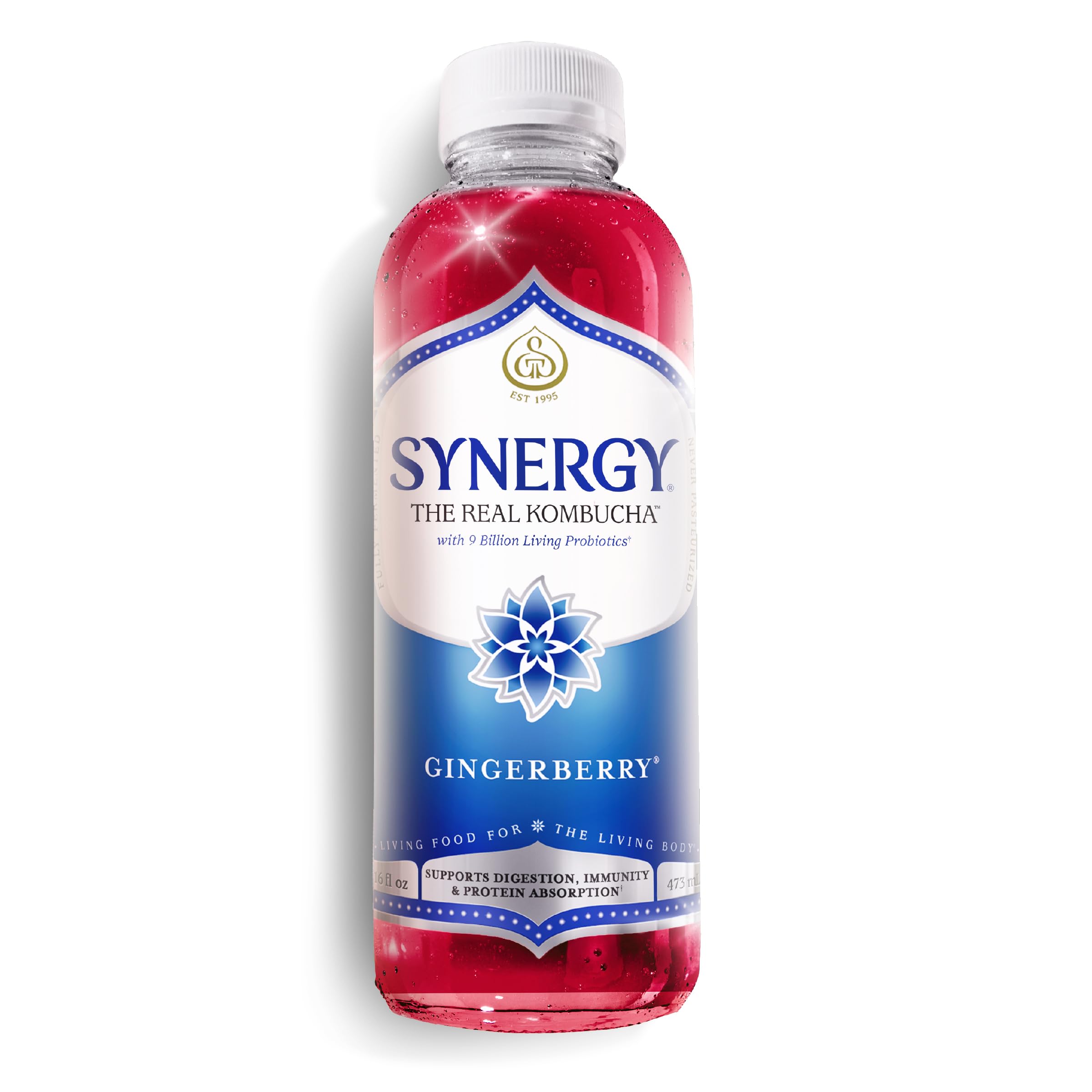 Amazon.com: SYNERGY The Real Kombucha - Gingerberry - 16 fl oz