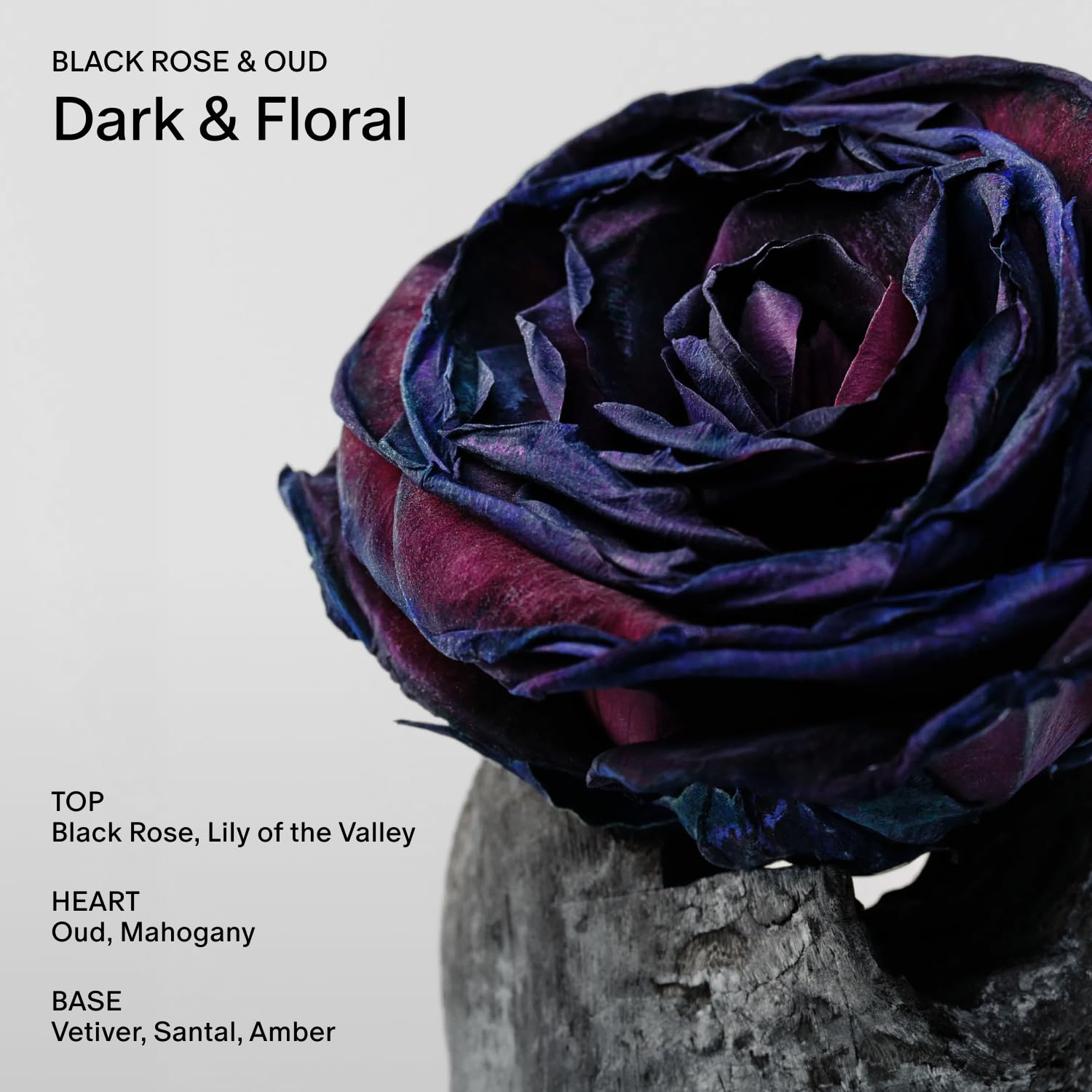 Salt & Stone Hand Cream for Women & Men | Black Rose & Oud | Hydrates, Nourishes & Softens Skin | Restores Dry Cracked Hands | Fast-Absorbing | Cruelty-Free & Vegan (2 fl oz) - Image 4