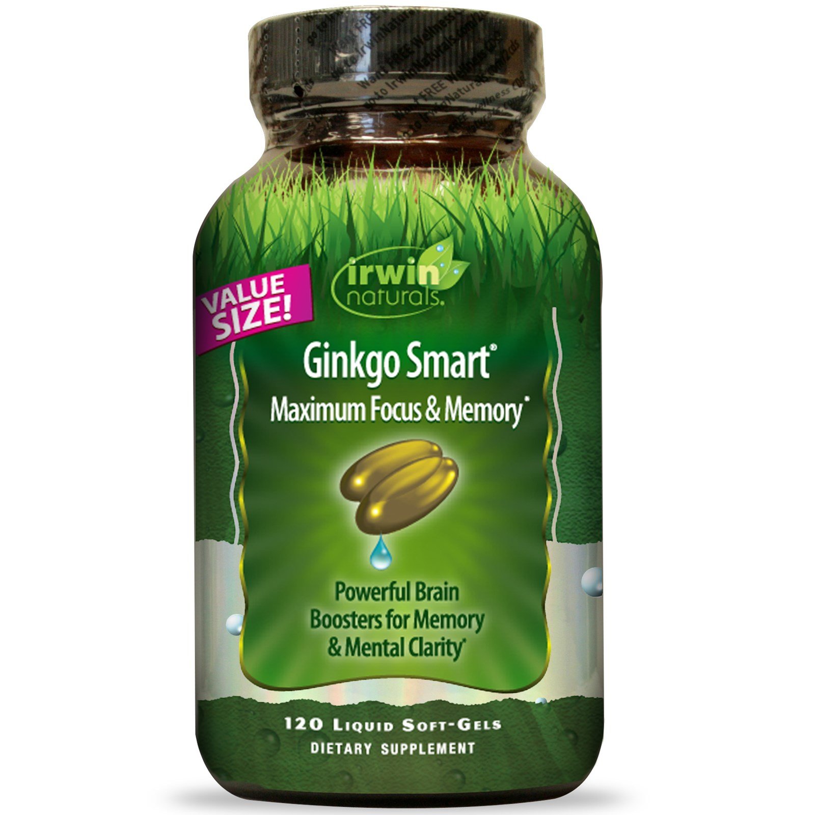 Irwin Naturals Ginkgo Smart Maximum Focus & Memory 120 Liquid Soft Gels