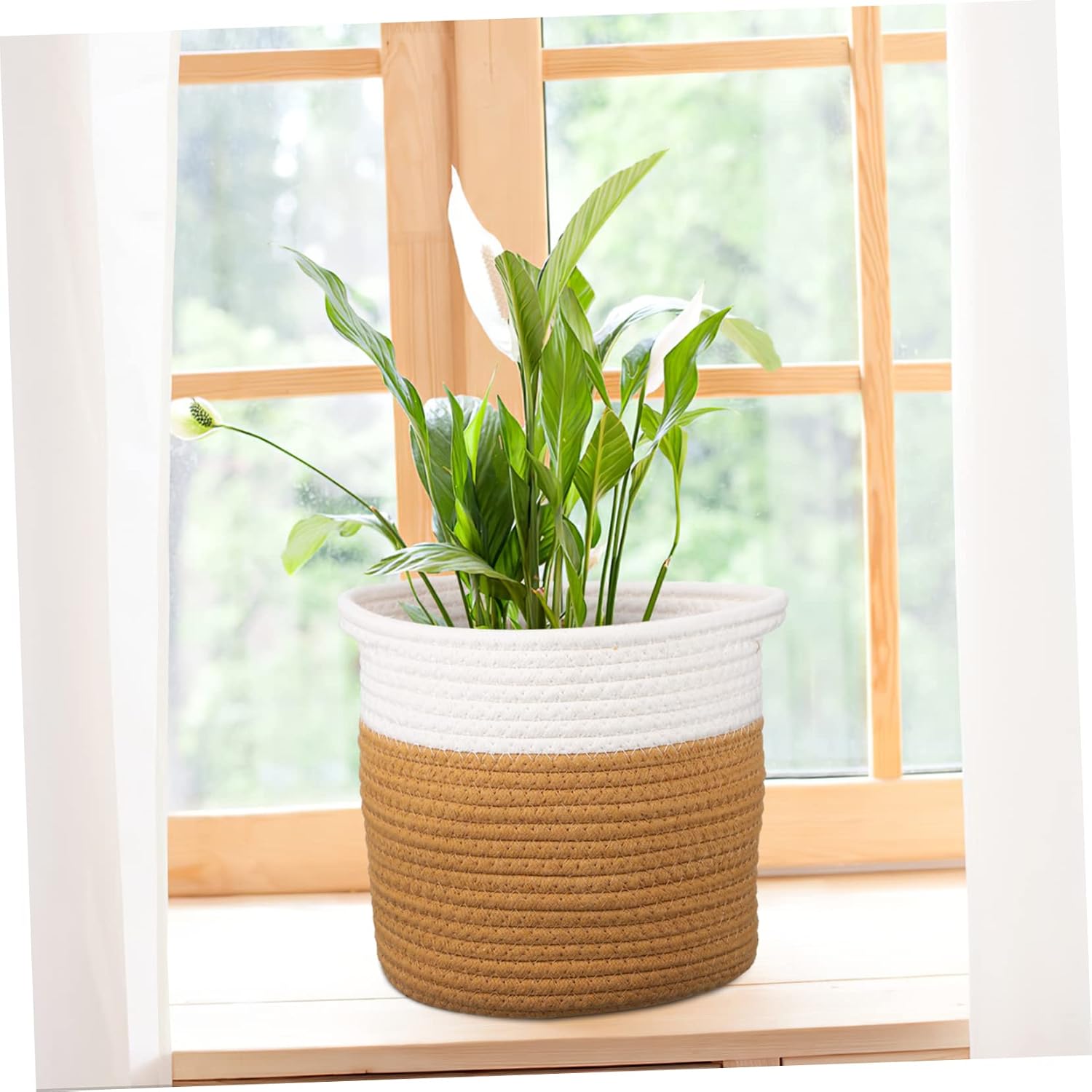 Ciieeo 2pcs Cotton Rope Baskets for Indoor Plants and Laundry Decorative Storage Hamper for Home Organization Multi-Functional Baskets Diameter