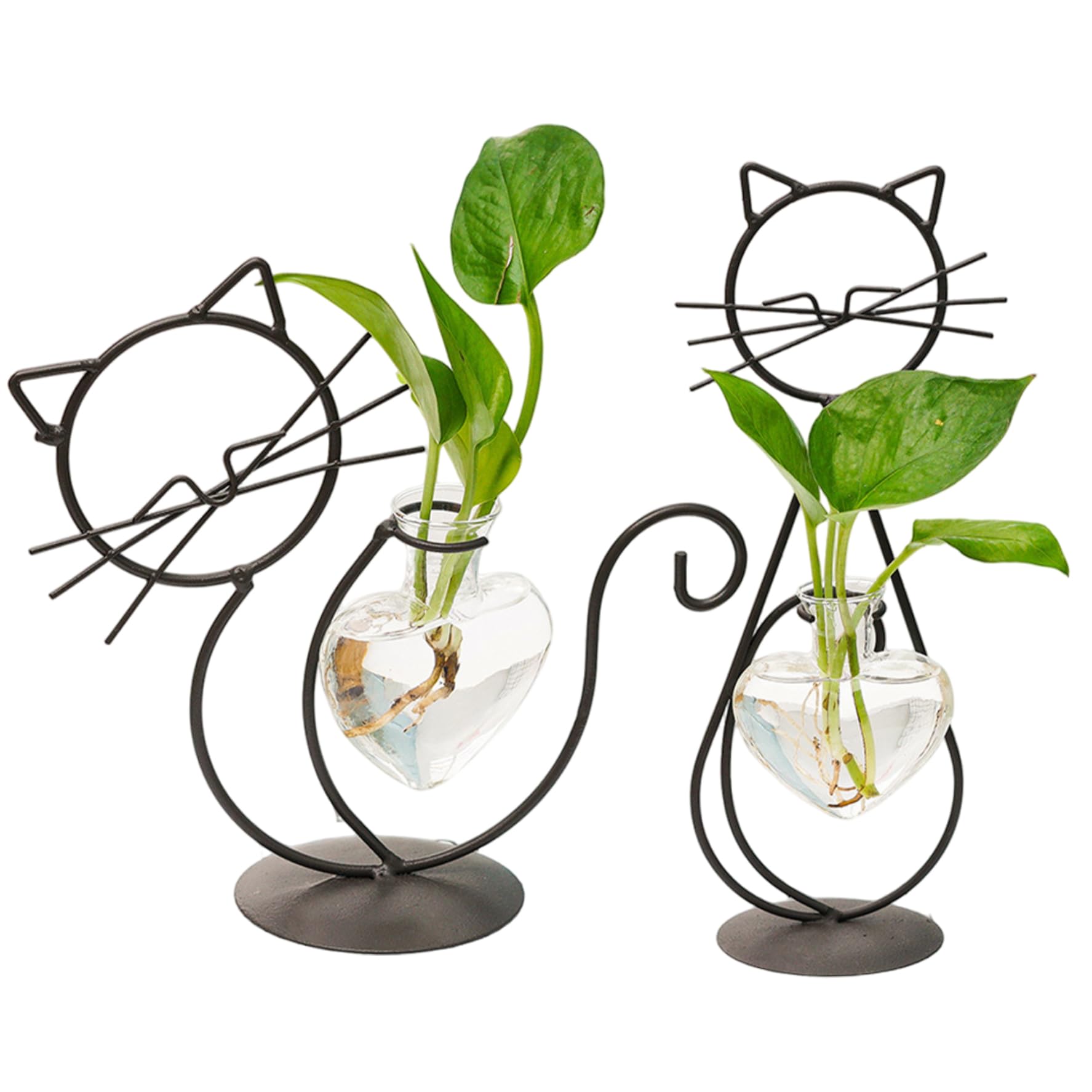 Vases de propagation pour plantes terrarium station design chat et cœur en verre