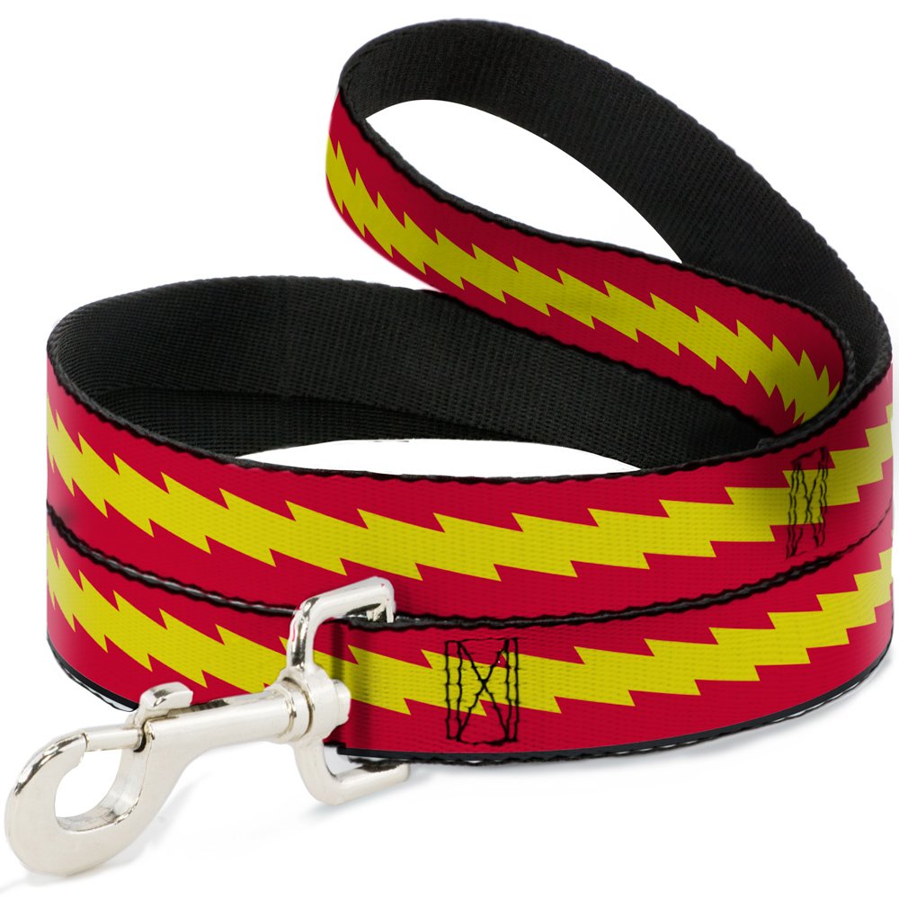 Laisse pour chien robuste Buckle-Down avec attache en métal fiable