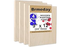 4Pack Unfinished Wood Canvas Panel for Painting and Art Projects