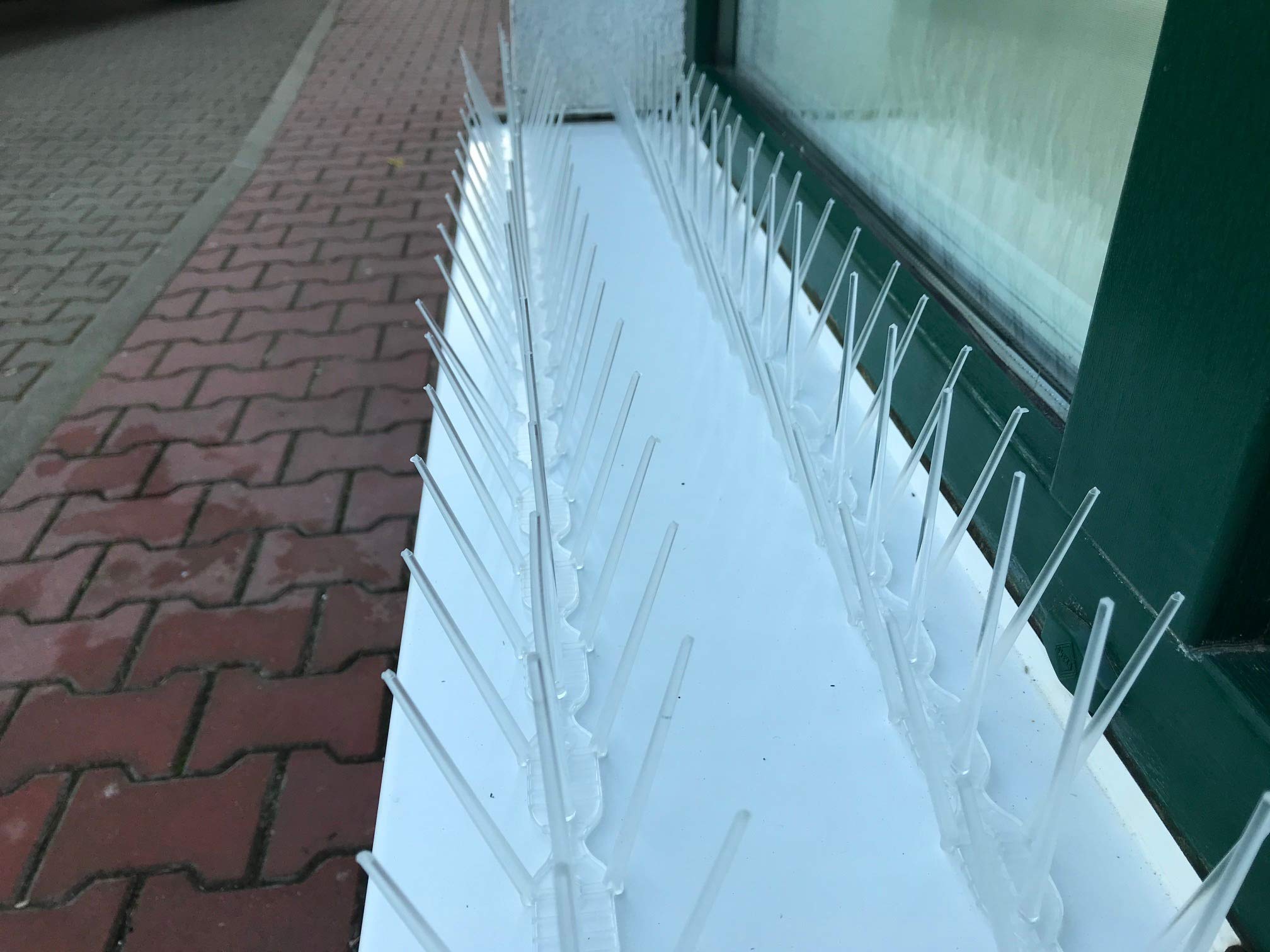 Dissuasore Per Uccelli Per Grondaie Defender - 5 Metri Di Punte In Plastica Trasparenti - Anti Piccioni E Gabbiani - 5