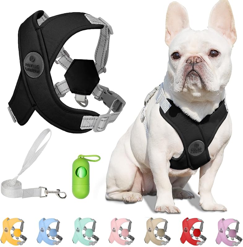 Peitoral para Cães Pequenos e Gatos com Guia, Design X e Faixas Refletivas Patas Lague Preto S