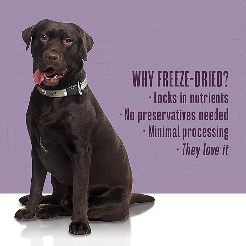 Miniatura 5 de Whole Life - Suplementos diarios diarios para perros, probióticos de grado humano para aliviar el estreñimiento, antidiarrea, remedio para el vómito