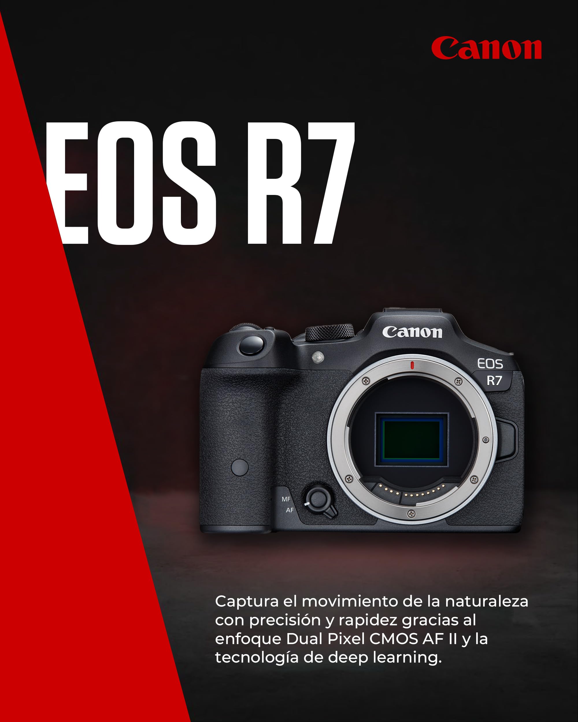 CANON EOS R7 Cámara Mirrorless Body, Cámara EVIL APS-C (32,5 MP) -5 EV, Vídeo 4K 60 fps, Dual Pixel CMOS AF II, Pantalla Táctil de Ángulo Variable, Negro
