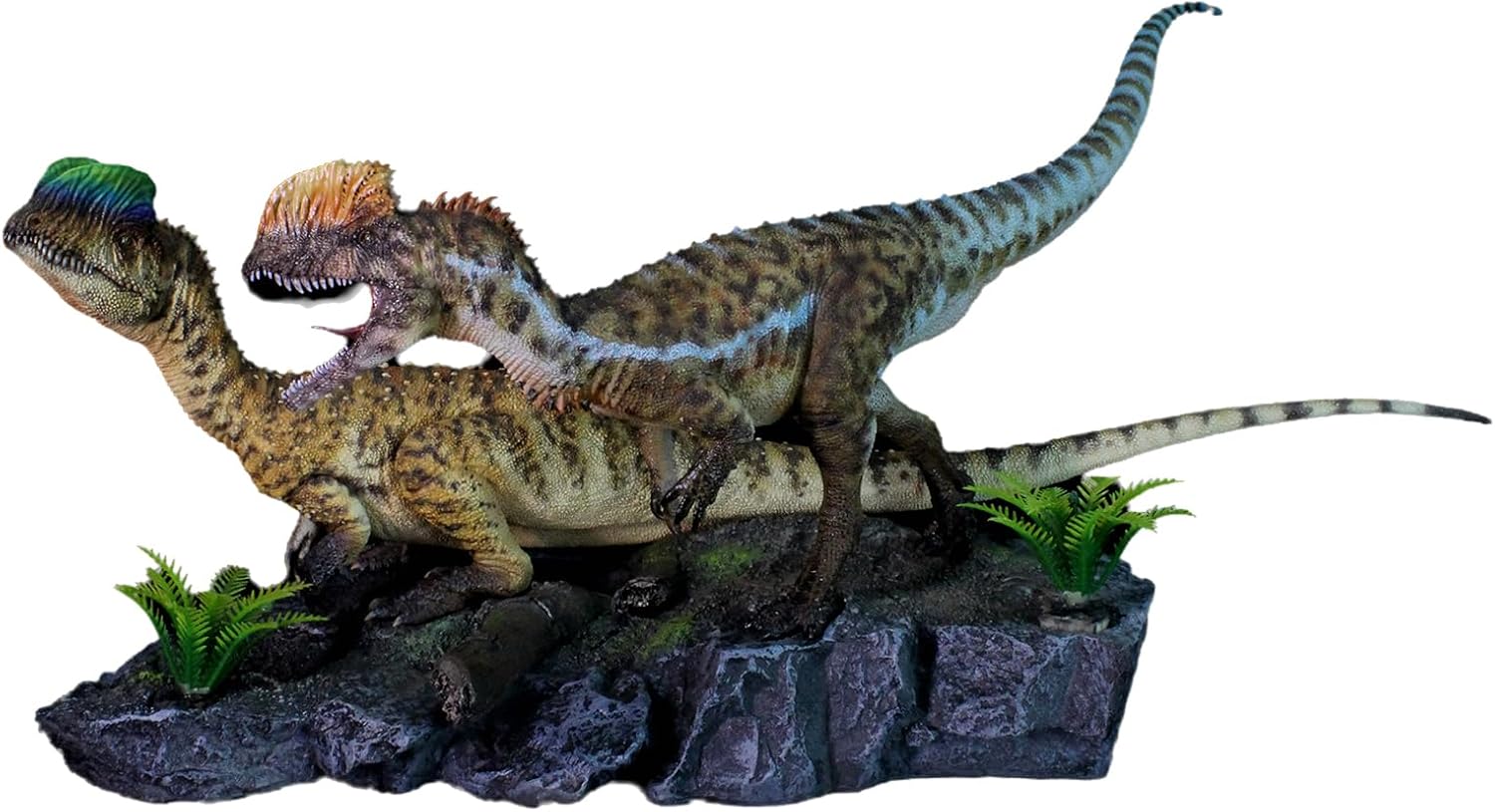 1:20 Scale Dilophosaurus Model Dilophosauridae Dinosaur Figure Resin Animal Scene Collector Home Decor Gift