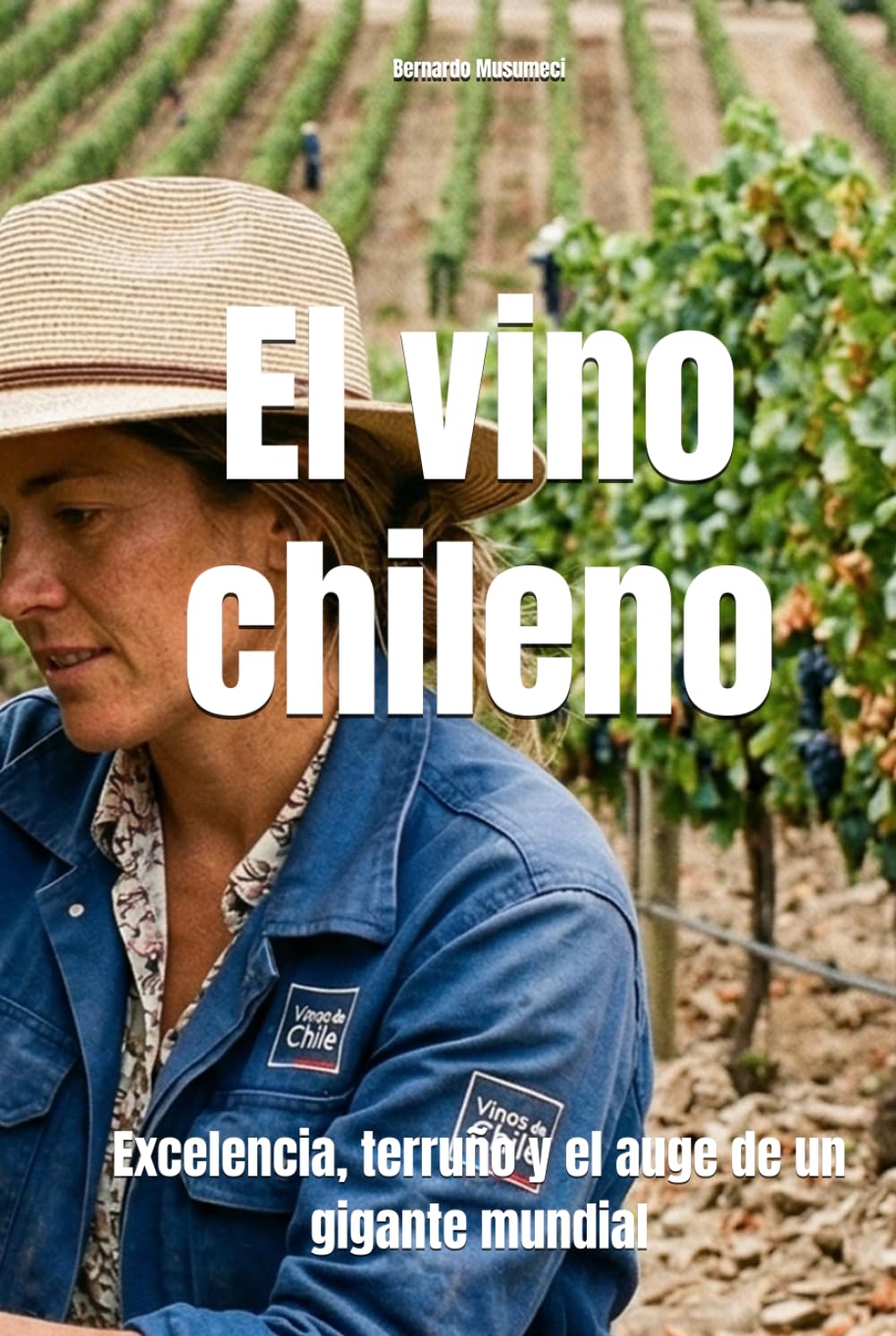 El vino chileno: Excelencia, terruño y el auge de un gigante mundial (Wines of the World: Chile)
