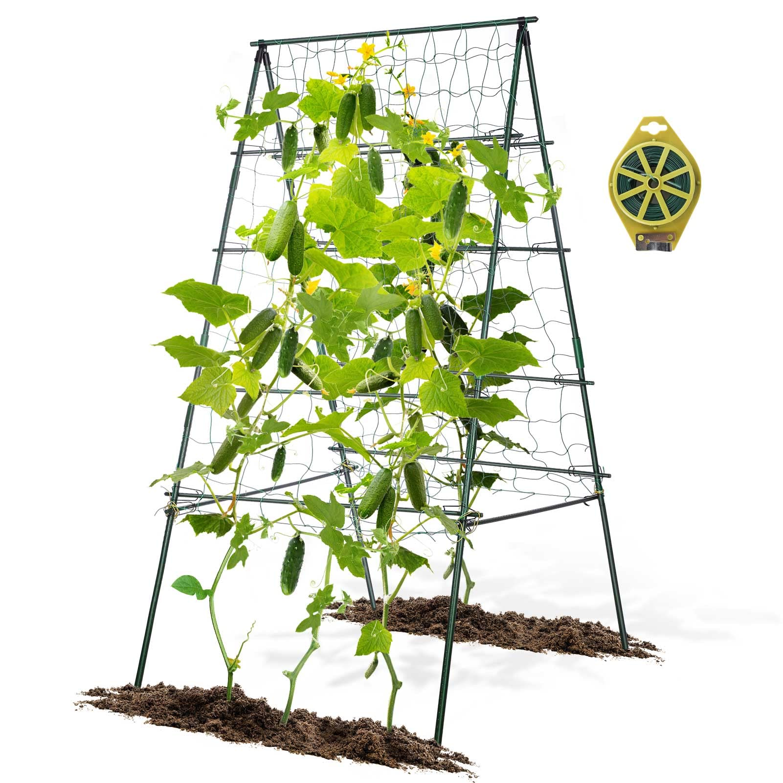 A Frame Vegetable Support