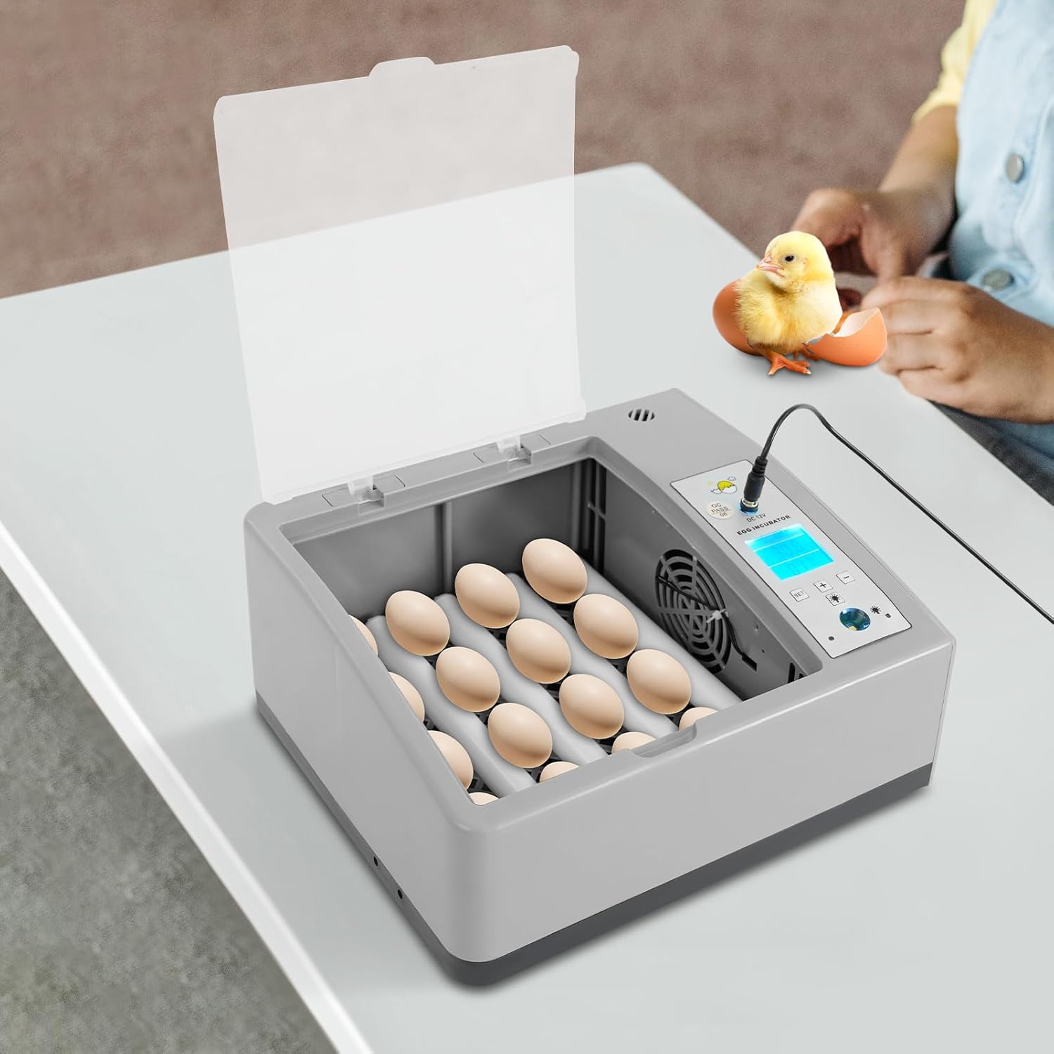 Egg Incubator w/Temperature Control 16-Egg Incubator Household Egg Incubator