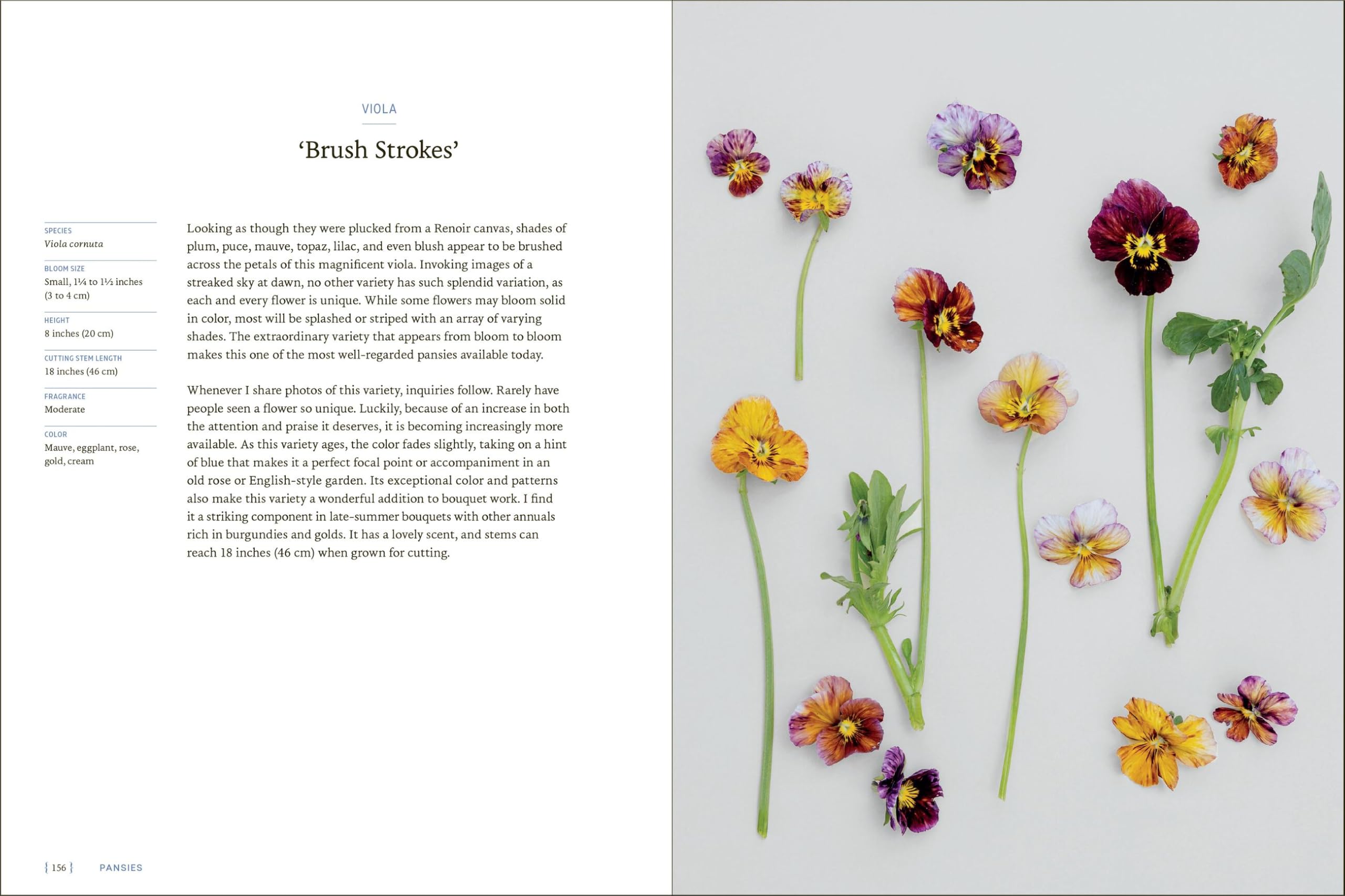 Pansies: How to Grow, Reimagine, and Create Beauty with Pansies and Violas