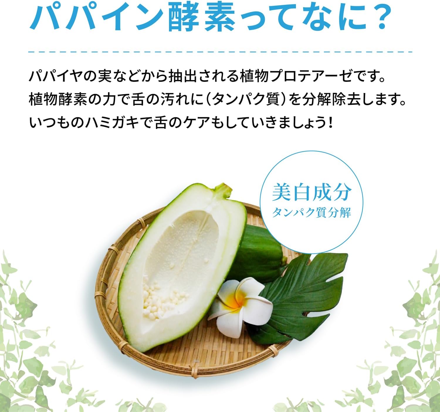 オーラルWスタージェル 96％天然由来 歯磨きジェル 舌磨き 低刺激 日本製 歯と舌の汚れにダブルアプローチ 研磨剤・発泡剤不使用 ホワイトニング マスティック マスチック マティハ 歯磨き粉 歯みがき粉 舌磨き 舌垢 スッキリ ホワイトスタートーキョー