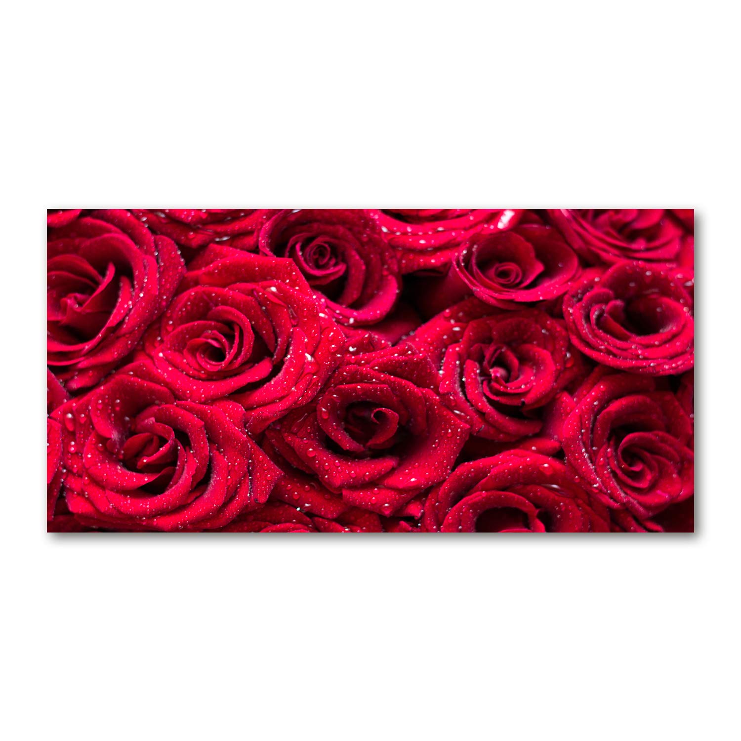 Fleurs et plantes sur tableau en verre 120x60 pour illuminer un mur sombre