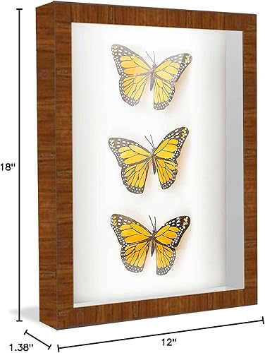 Miniatura 10 de Marco de caja de sombra de 10 x 16 pulgadas, color marrón, 1 pulgada de profundidad, 1.375 pulgadas de ancho, marco de madera maciza de chapa de