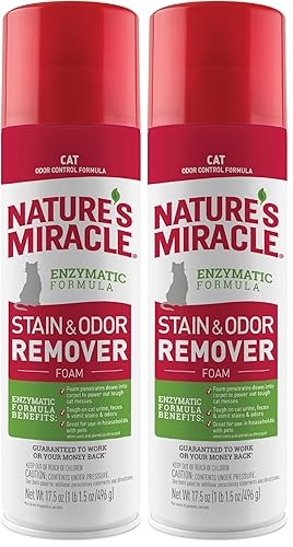 Nature's Miracle Aerosol espumoso removedor de manchas y olores para gatos, 17.5 onzas (paquete de 2)