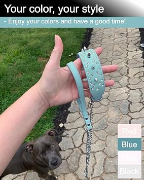 Dog Leash, Metal Pet Leash with Comfortable PU Leather Handle for Small and Medium Size Dogs 4 FT (Blue)