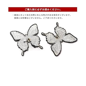 Amazon.co.jp: ヘリボシアオネアゲハ ワッペン L(約10cm) 刺繍