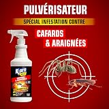Kapo Cockroach and Spider Spray 1L - 2