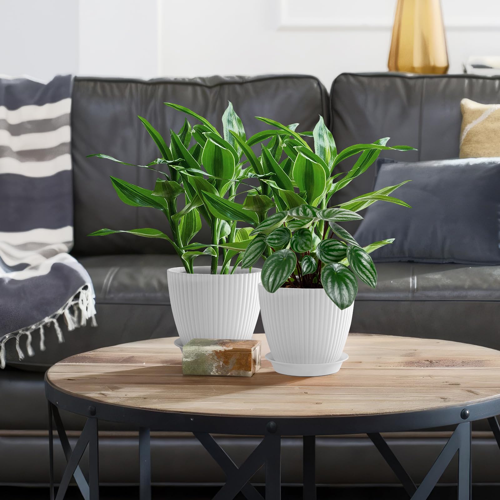 FORAGIFT Set Di 6 Vasi Per Piante 15cm - Plastica Rigata Decorativa, Con Fori Di Drenaggio E Sottovaso, Colori Assortiti