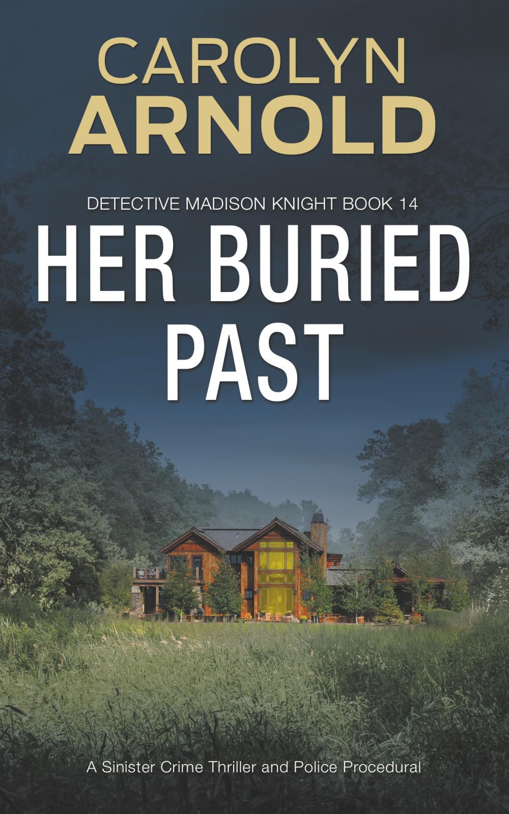 Her Buried Past: A tense and completely addictive crime thriller: A Sinister Crime Thriller and Police Procedural: 14 (Detective Madison Knight Series)