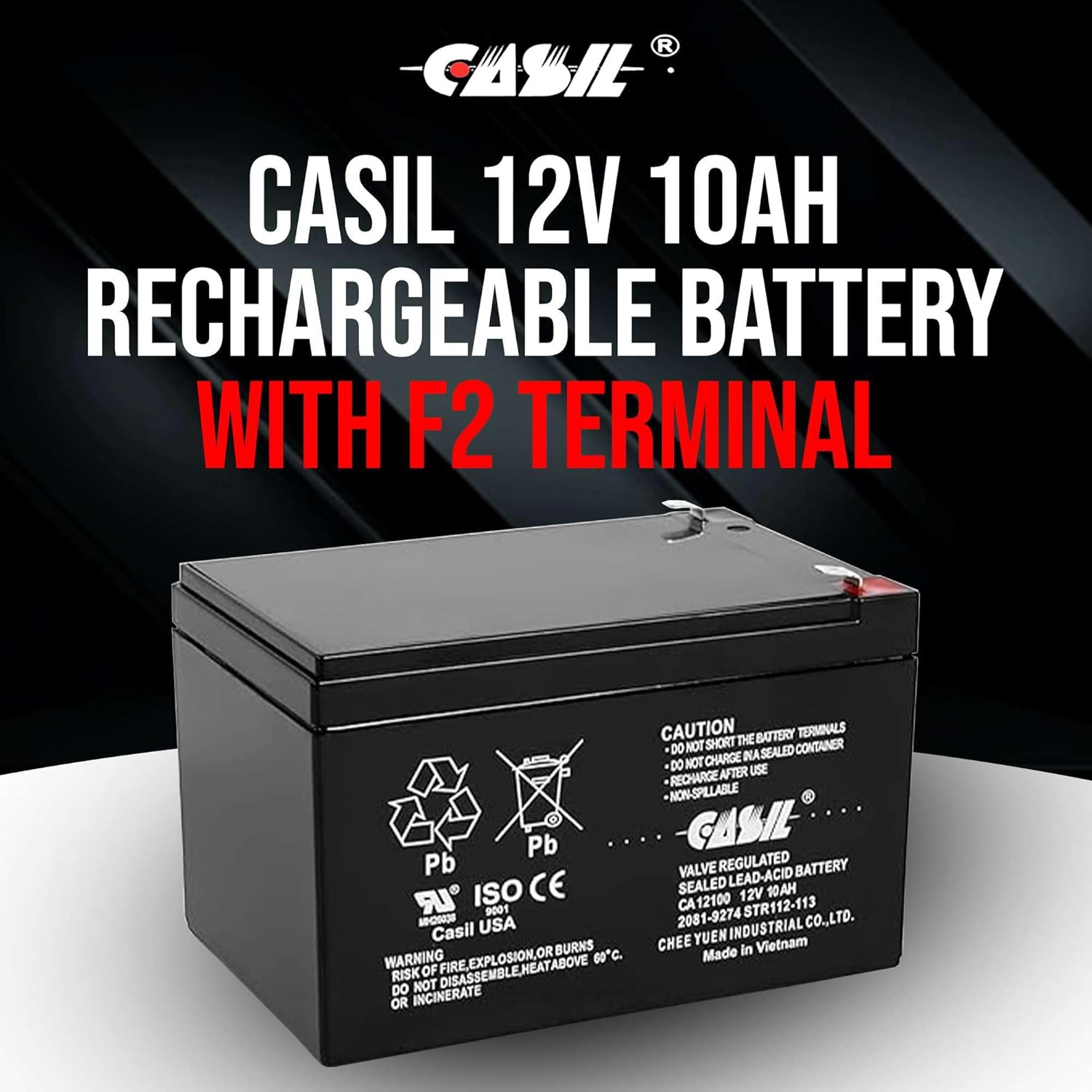 Casil 12v 10ah Battery Compatible with 2081-9274 Simplex Fire Panel Battery 2 Pack