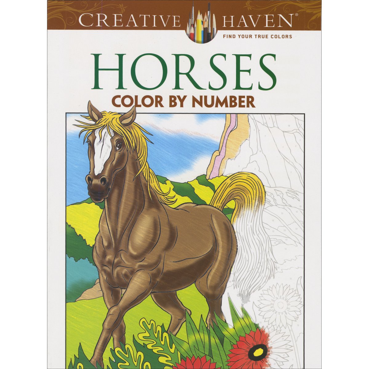 DoverPublications-Creative Haven Horses Colour by Number