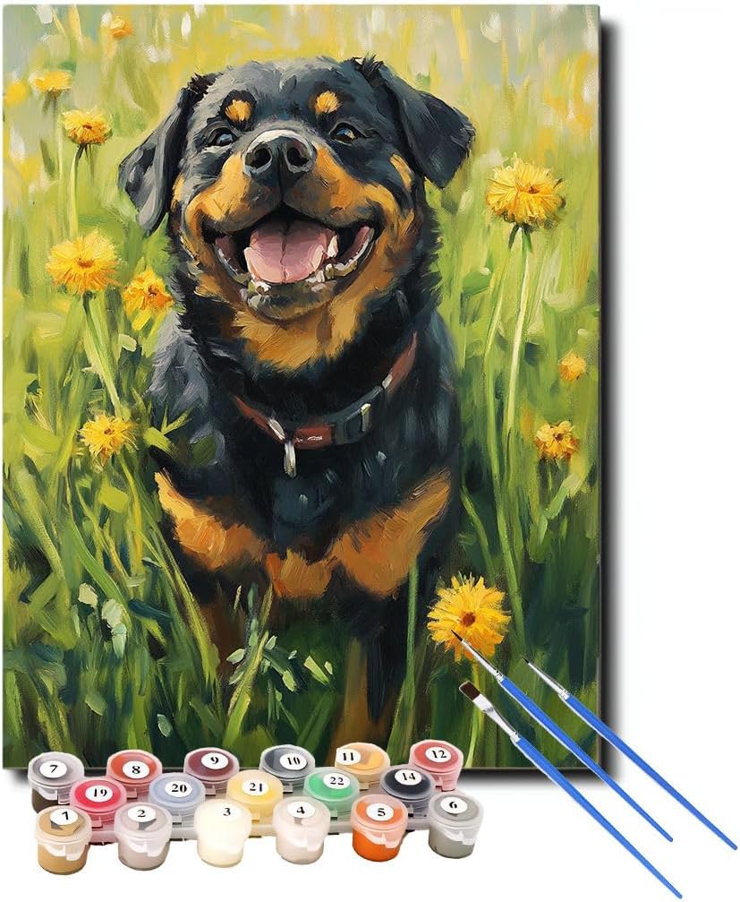 XCJFGO Rottweiler Dog Animal Easy Paint by Numbers Kit for Adults Beginner, Cute Dog Adult Paint by Number Kits on Canvas, Acrylic Simple Oil Paint by Number Kits for Home Wall Decor 16" W x 20" L