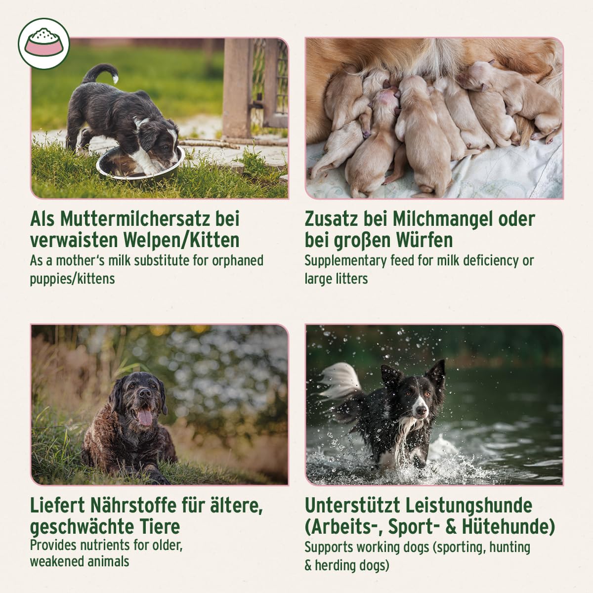 AniForte Ziegenmilch Pulver für Hunde 500 g - essentielle Nährstoffe für jedes Alter, für Immunsystem, Verdauung & Vitalität, als Muttermilchersatz