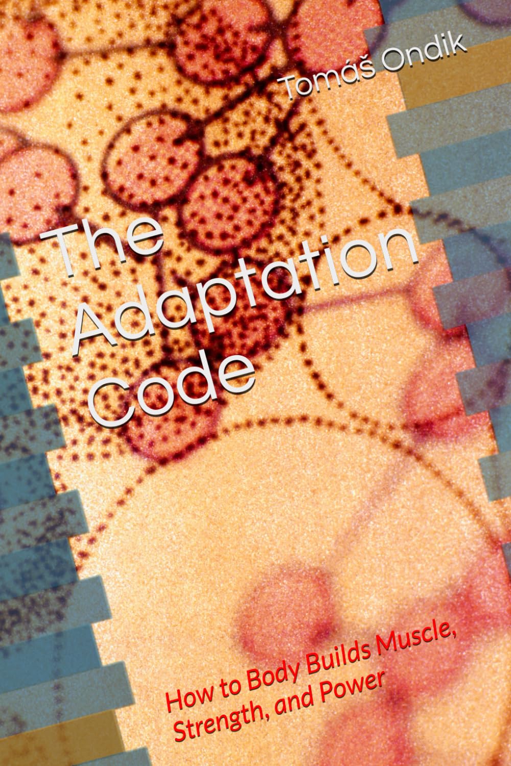 The Adaptation Code: How to Body Builds Muscle, Strength, and Power