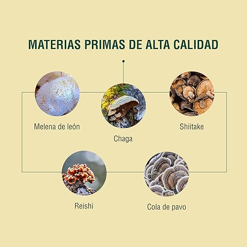 Miniatura 4 de ADAPTOHEAL Mezcla de Hongos Adaptógenos - Melena de Leon, Chaga, Reishi, Cola de Pavo - Ingredientes Naturales - Vegano, sin Gluten, sin OMG - 90