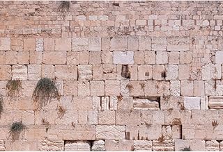 CSFOTO 10x6.5ft Western Wall Backdrop Jerusalem Photo Background Ancient Jerusalem Backdrop Brick Backdrops for Photography Jerusalem Wall Backdrop Wailing Wall Backdrop Israel Backdrop