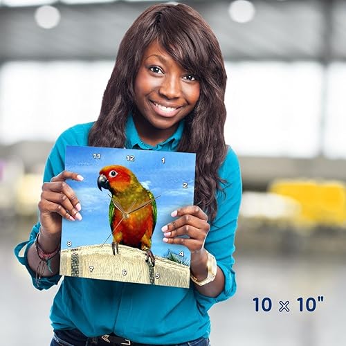 Miniatura 4 de 3dRose LLC Sun Conure - Reloj de pared (10.0 x 10.0 in)