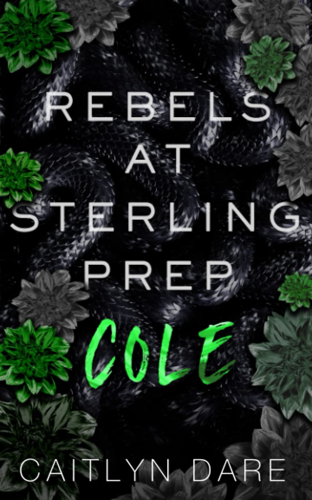 Rebels at Sterling Prep: Cole: A Dark High School Romance (Rebels at Sterling Prep Duets)