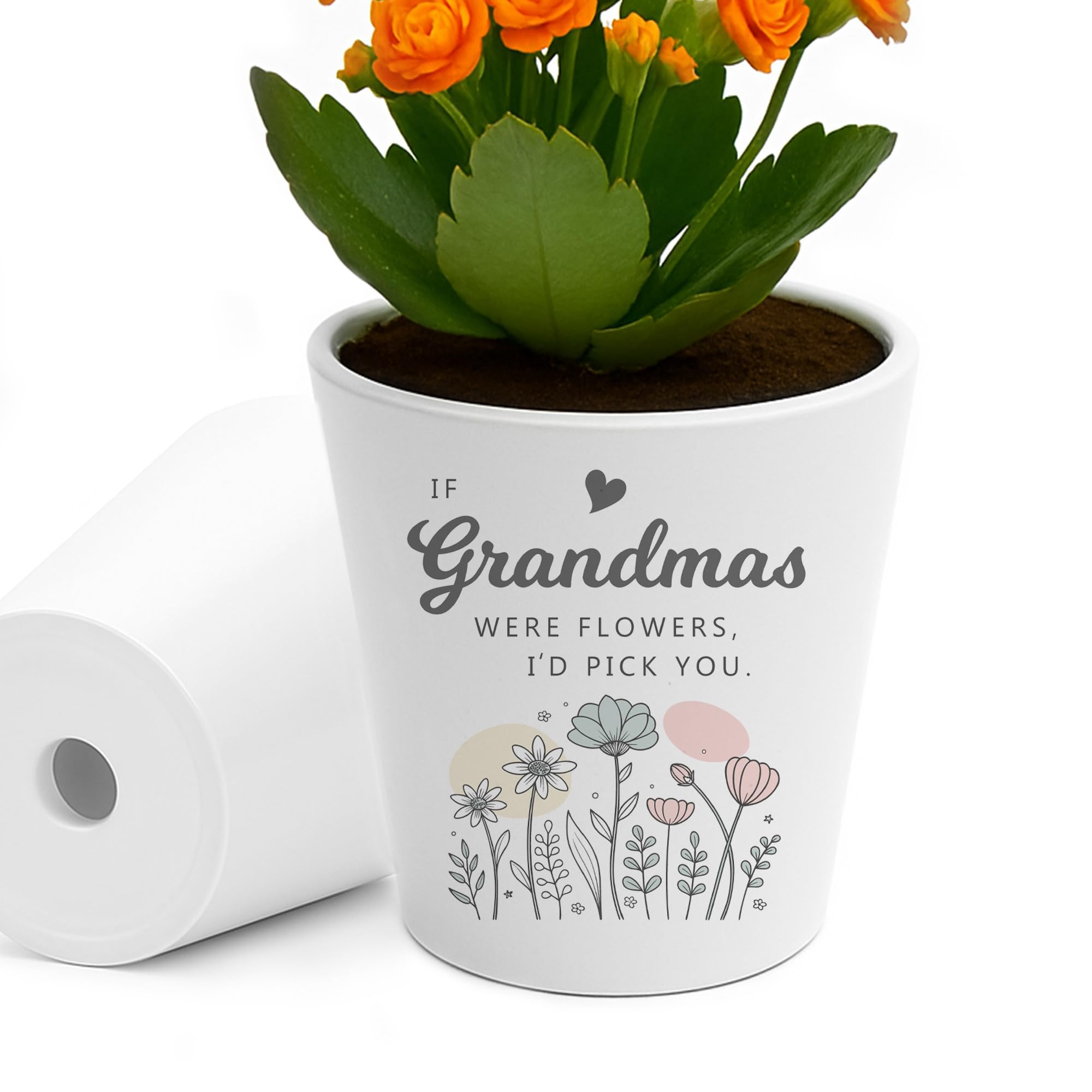 RED OCEAN Special For Grandma IF GRANDMAS WERE FLOWERS ID PICK YOU Plant Pot For Grandma Birthday Her Keepsake