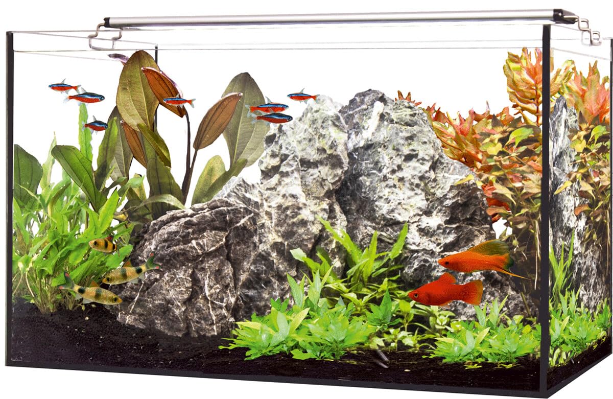 Happet - Zestaw akwariowy 60 l z oświetleniem LED, szklany wazon - lekki, dekoracyjny element wystroju domu, stołowy - z oświetleniem AquaLED, grzałką, filtrem, termometrem i podbierakiem