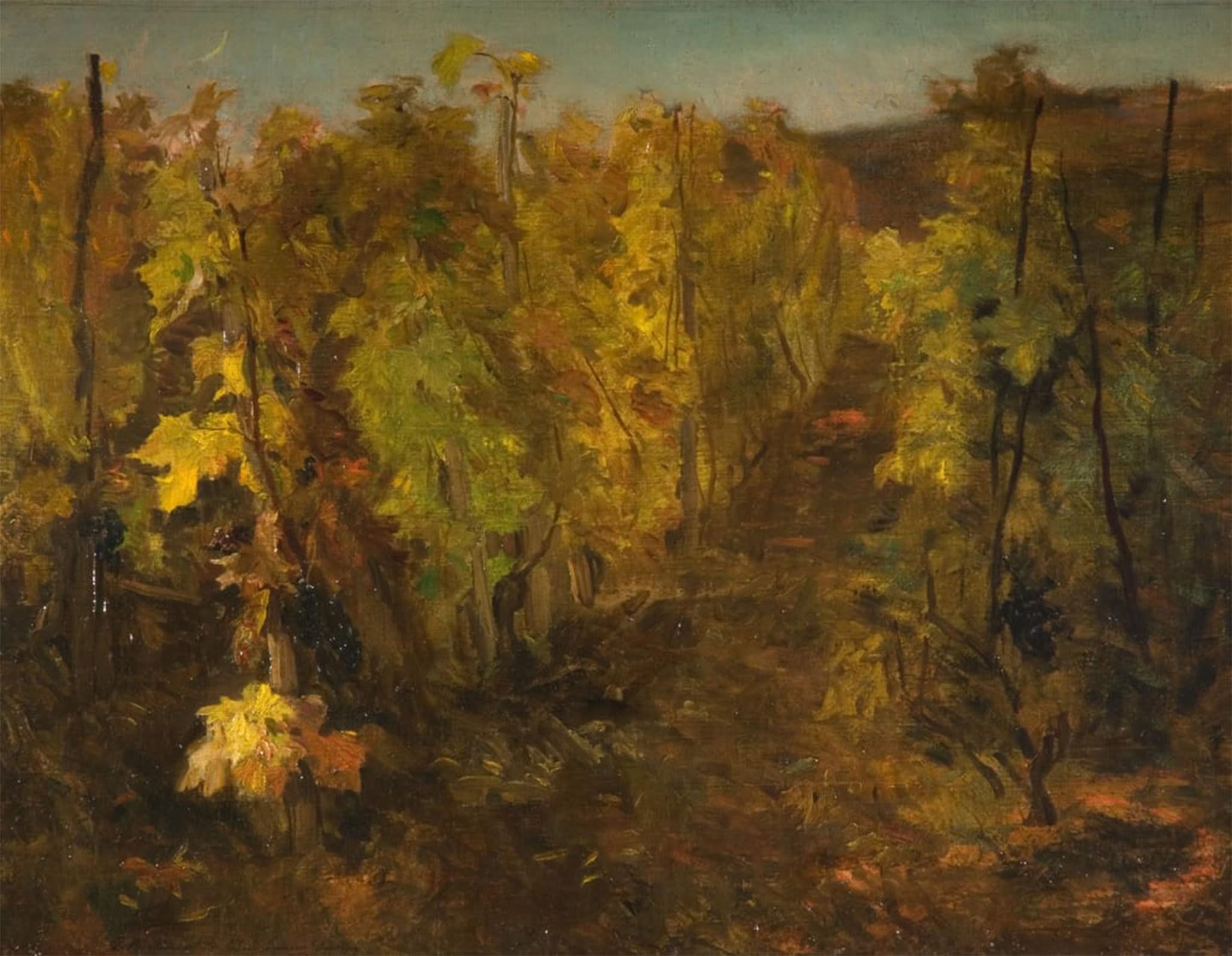 ARTXLXXBN Famous Art Print Poster Vintage Wall Art La Vigne by Charles Francois Daubigny Canvas Art Poster for Home Decor 60x90cm