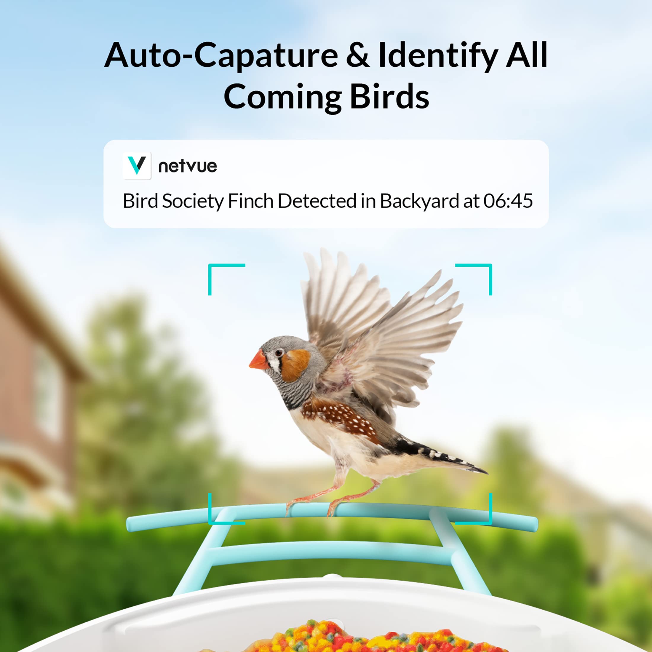 NETVUE Birdfy - Comedero Inteligente para Pájaros con Cámara y Panel Solar, Reconocimiento AI de Especies de Aves, Exterior con Potente Base de Datos de Aves